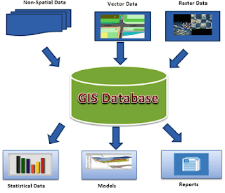 Components of a GIS database